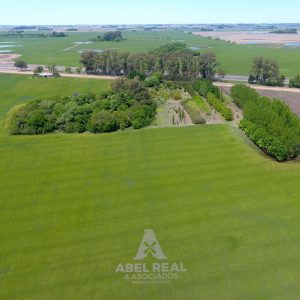4 ha Predio De Excelente Ubicación Sobre Autopista .  | Junín Prov. de Buenos Aires
