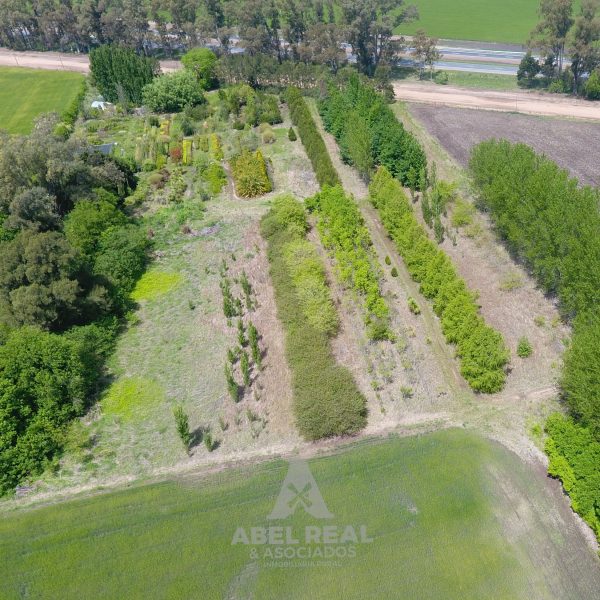 4 ha Predio De Excelente Ubicación Sobre Autopista .  | Junín Prov. de Buenos Aires - Imagen 2