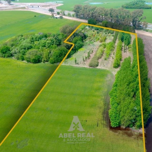 4 ha Predio De Excelente Ubicación Sobre Autopista .  | Junín Prov. de Buenos Aires - Imagen 5