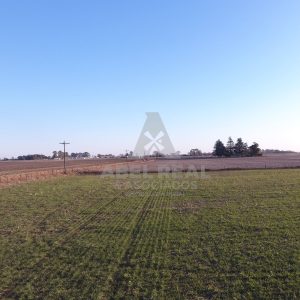 21 ha La Agraria | Prov. Buenos Aires