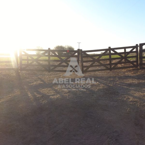 21 ha La Agraria | Prov. Buenos Aires - Imagen 3