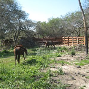 2629 ha  Formosa | Formosa