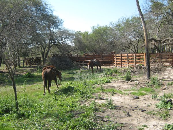 2629 ha  Formosa | Formosa