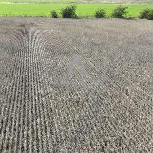 30 ha Bermúdez  | Prov. de Buenos Aires -