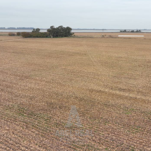 30 ha Martínez de Hoz | Prov. de Buenos Aires -