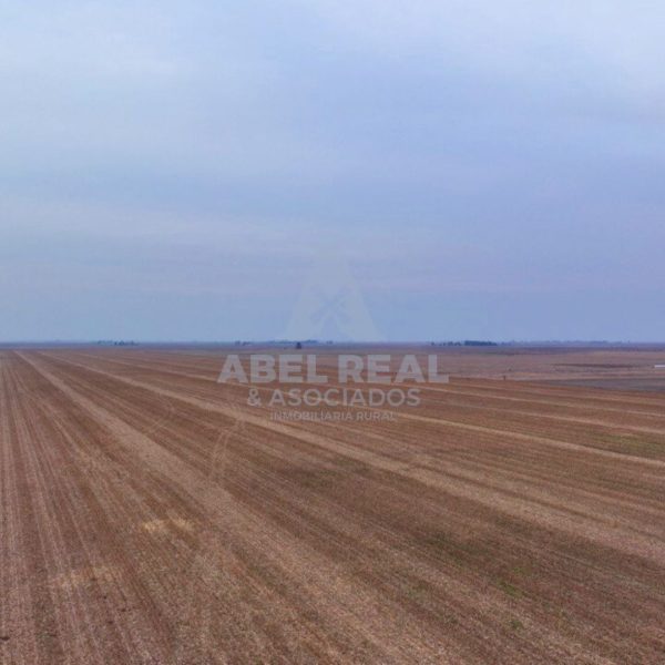 70 haBlaquier | Prov. de Buenos Aires - -