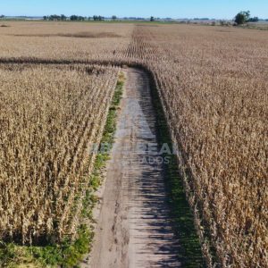 60 ha Bayauca | Prov. de Buenos Aires - -