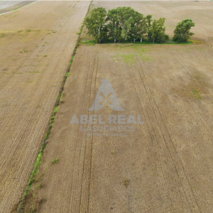 35 ha Bragado | Prov. de Buenos Aires - - -