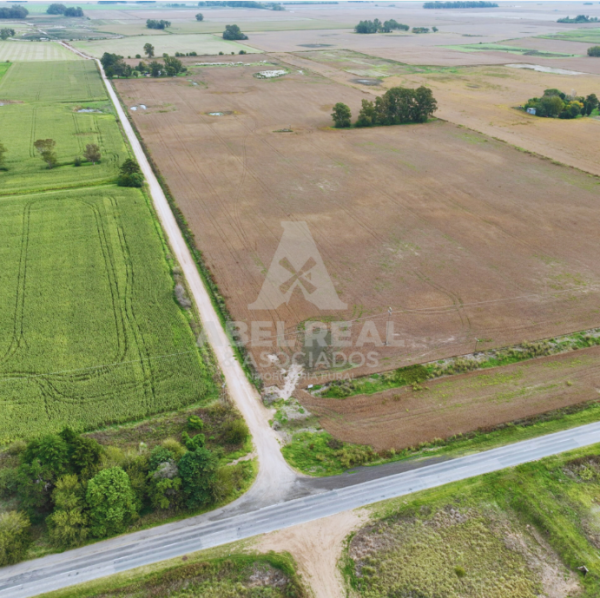 35 ha Bragado | Prov. de Buenos Aires - - - - Imagen 2