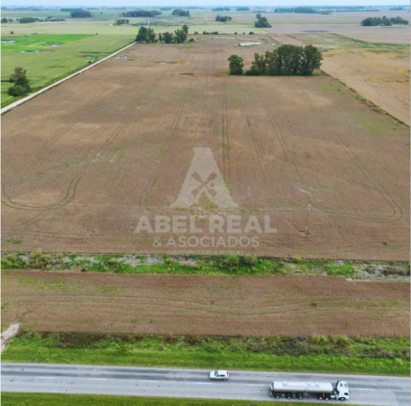 35 ha Bragado | Prov. de Buenos Aires - - - - Imagen 5
