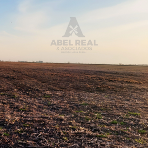 60_ha_Alem| Prov. de Buenos Aires - - -